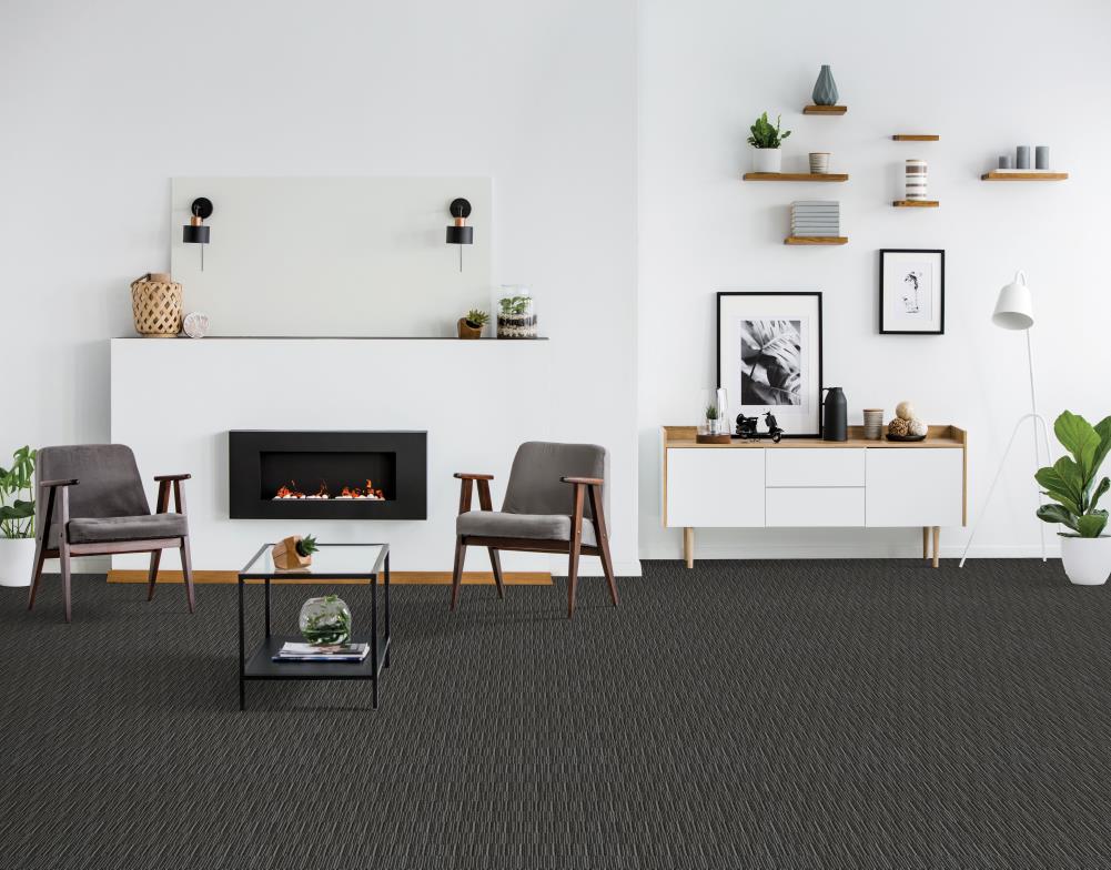  LU153-W0050-1200-AB Carpet-Panel - View #3