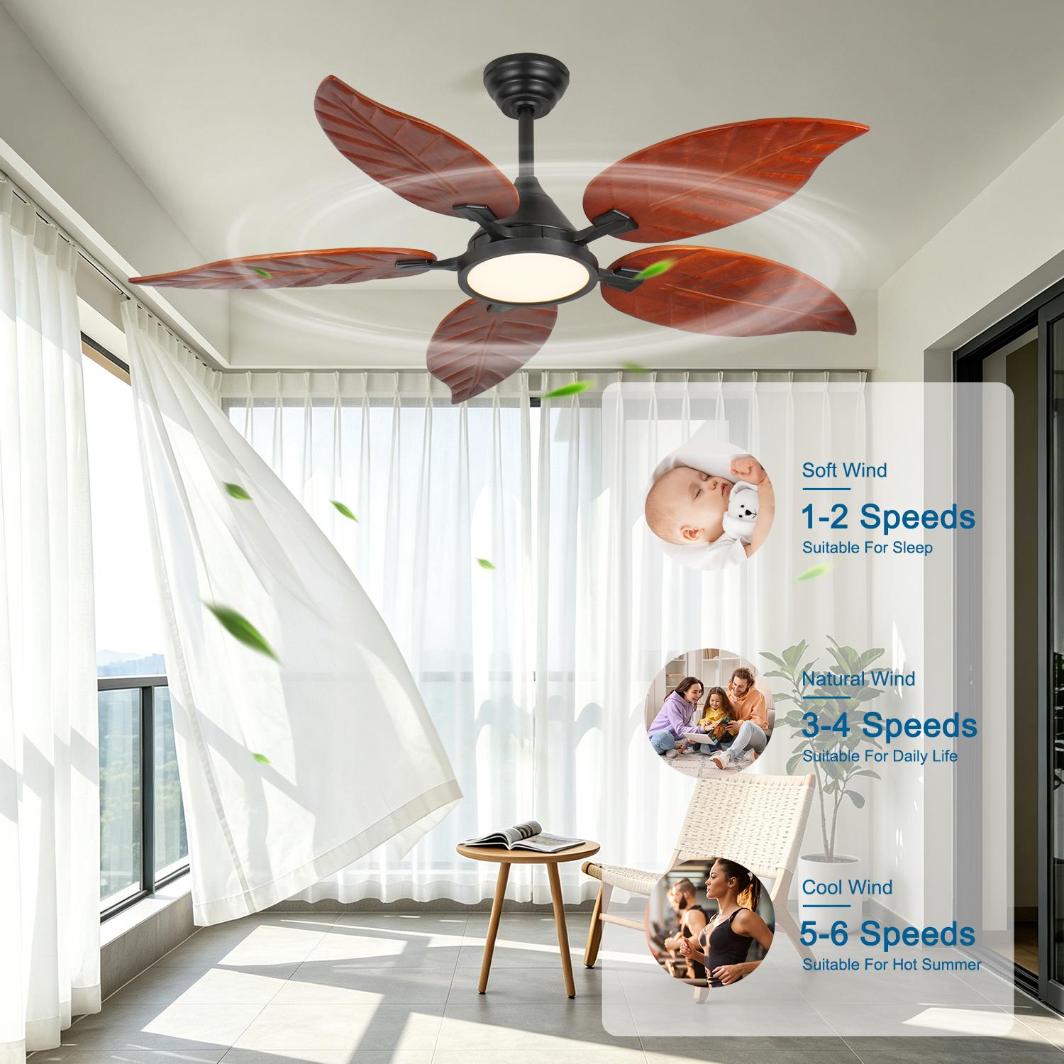 Bayfeve BF-512057-MP Ceiling-Fans - View #4