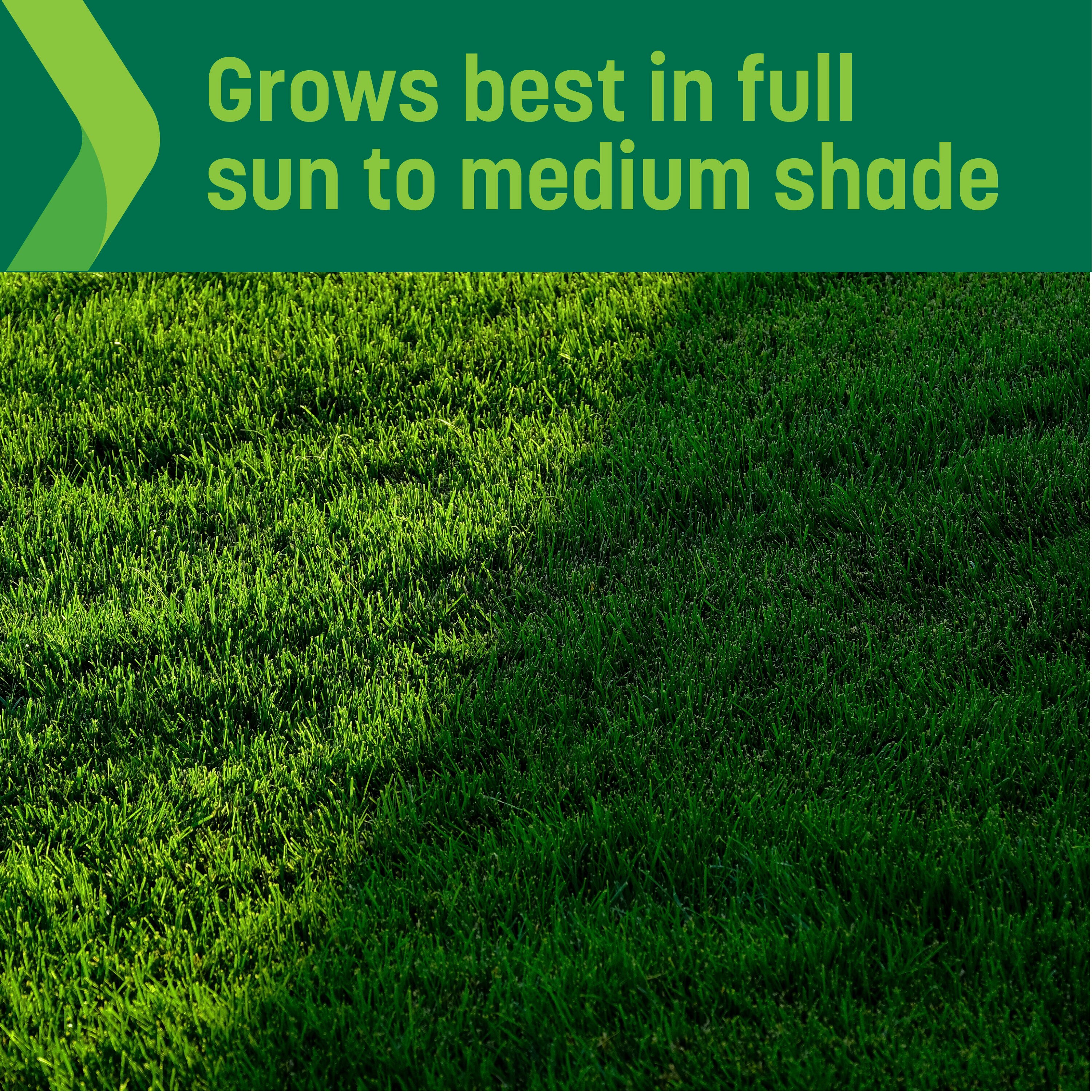 Sta-Green SG-SS-16 Grass-Seed - View #5