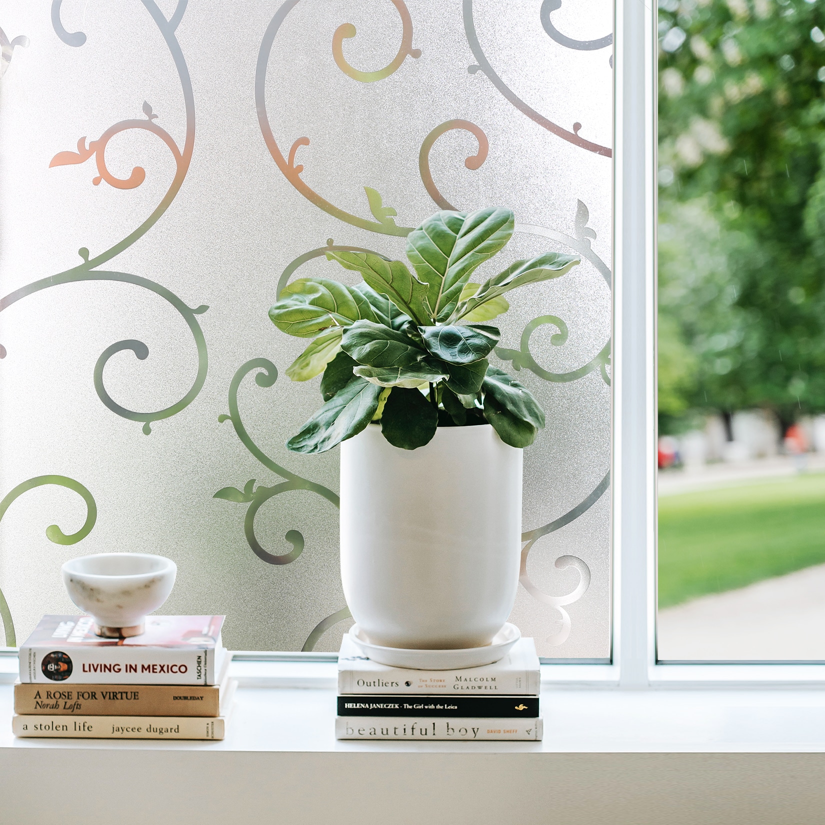 Cotton Colors CT039 Window-Film - View #6
