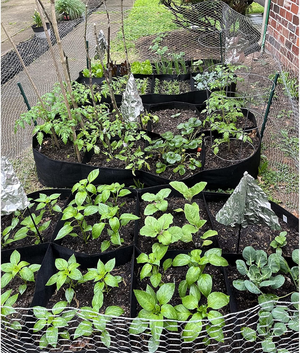 CJGQ CJGQ-X003DLHVN3 Raised-Garden-Beds - View #6