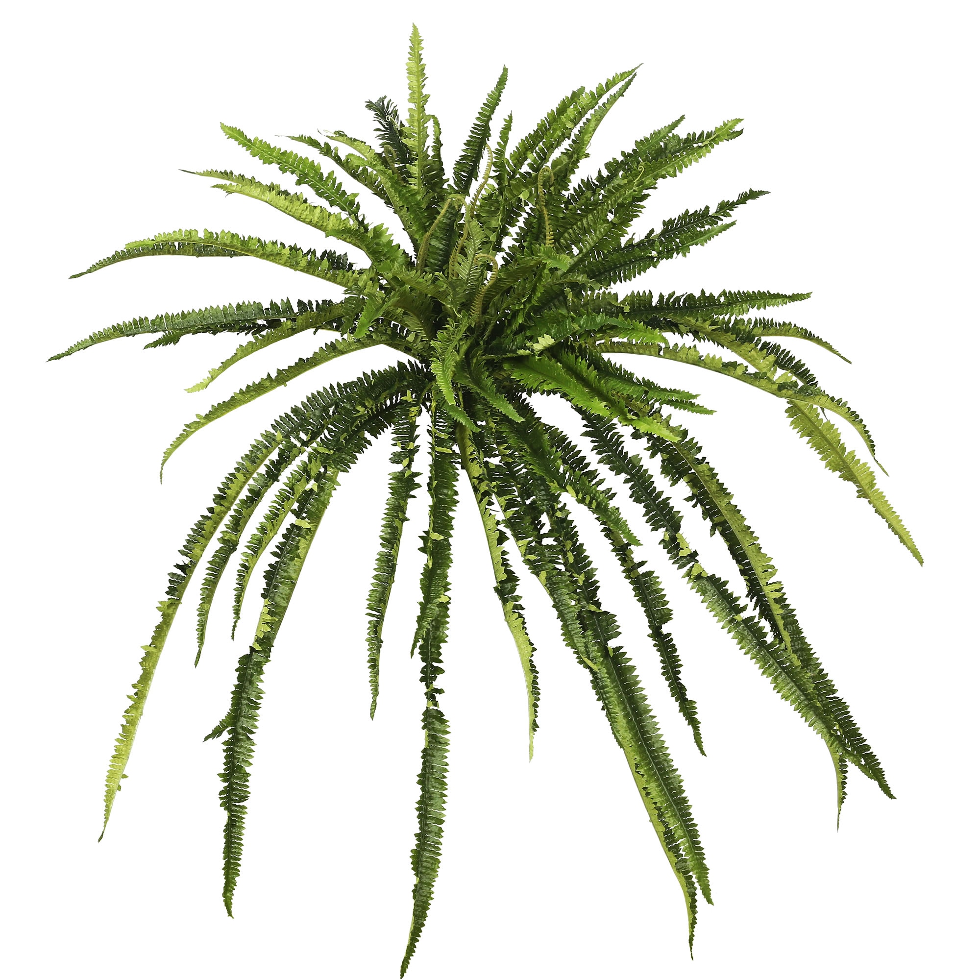 Vickerman FA175201 27-in Green Indoor Fern Artificial Plant