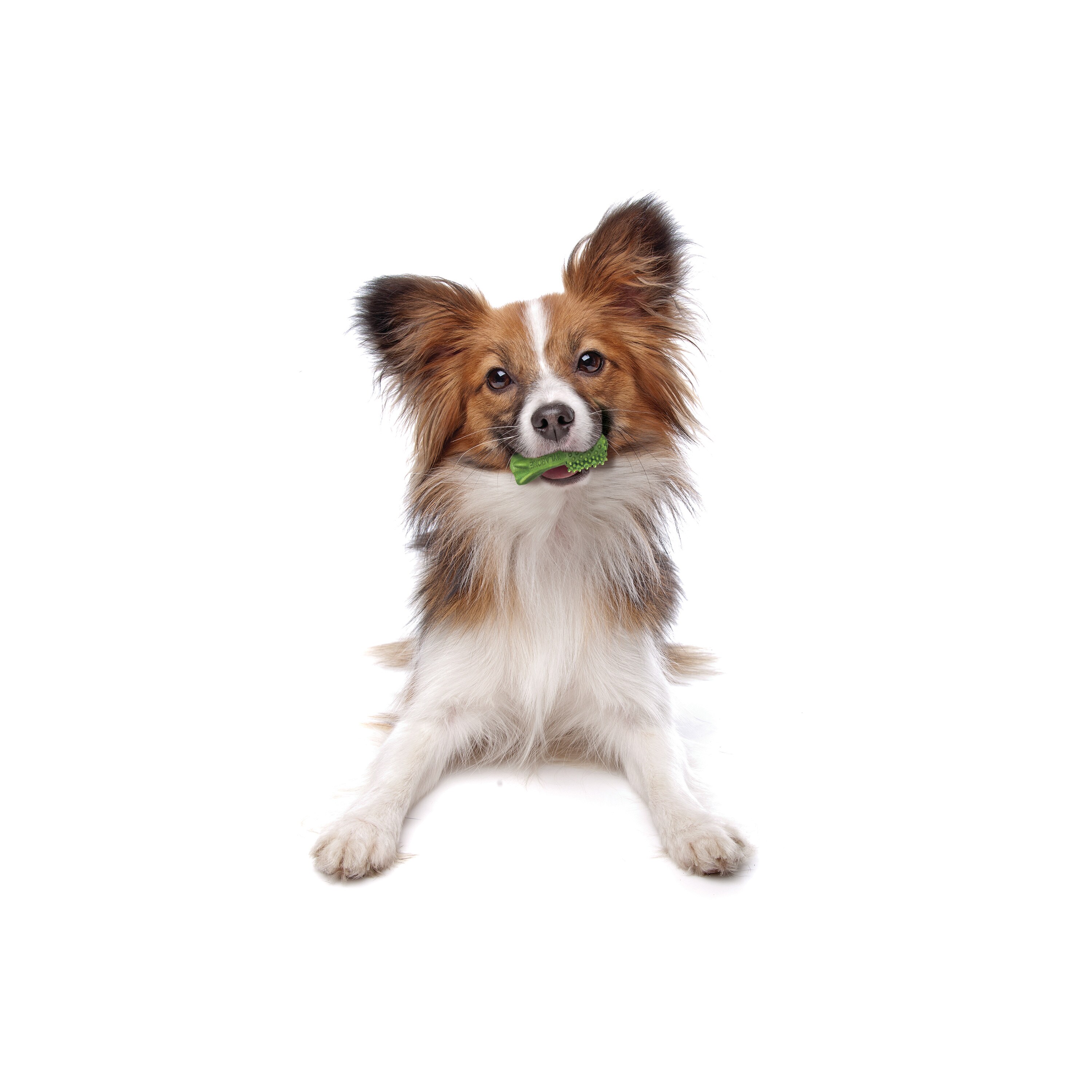 Nylabone 1821481746 Dog-Treats - View #5