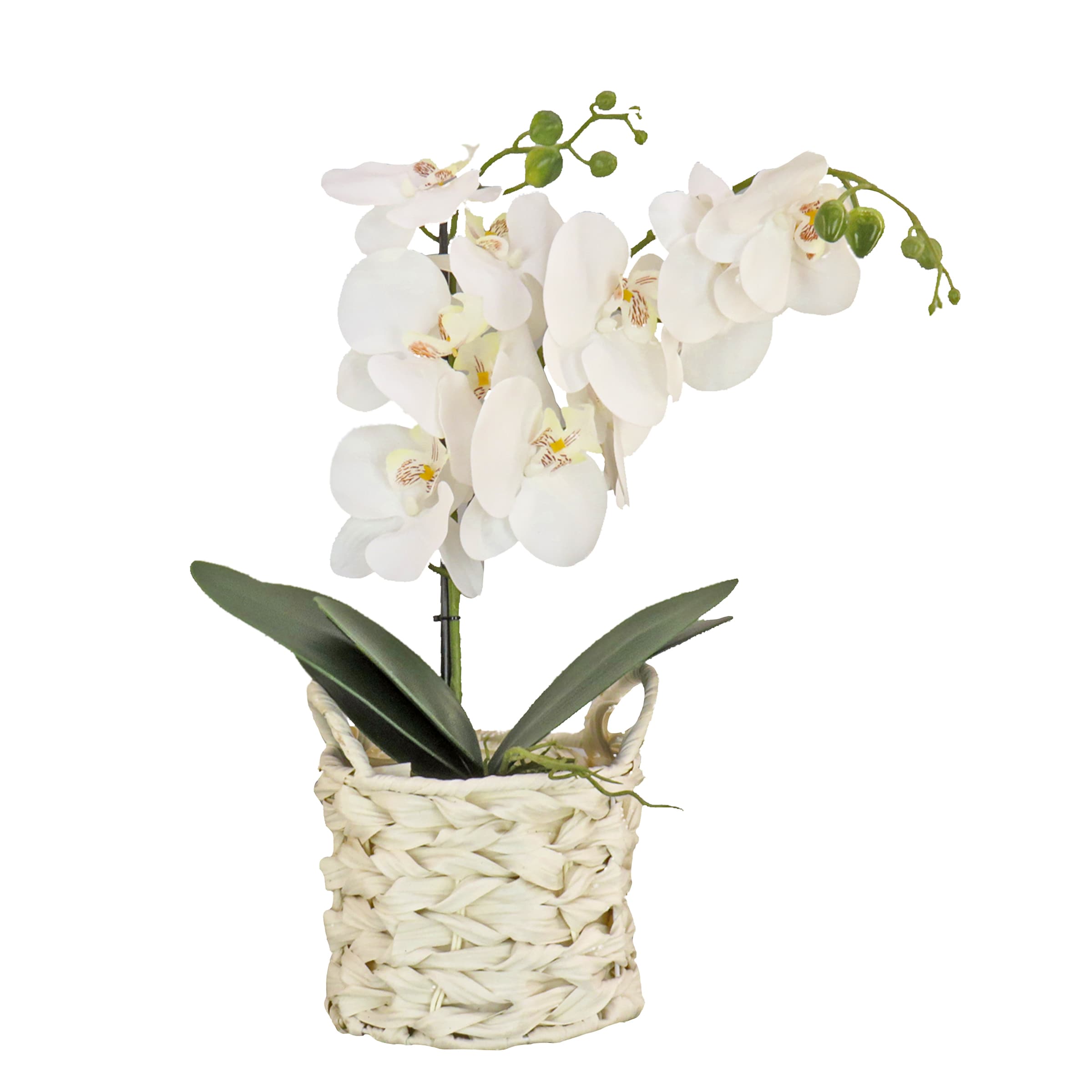 National Tree Company MT81-PH0254PWH 21-in H Spring Hanging Decoration