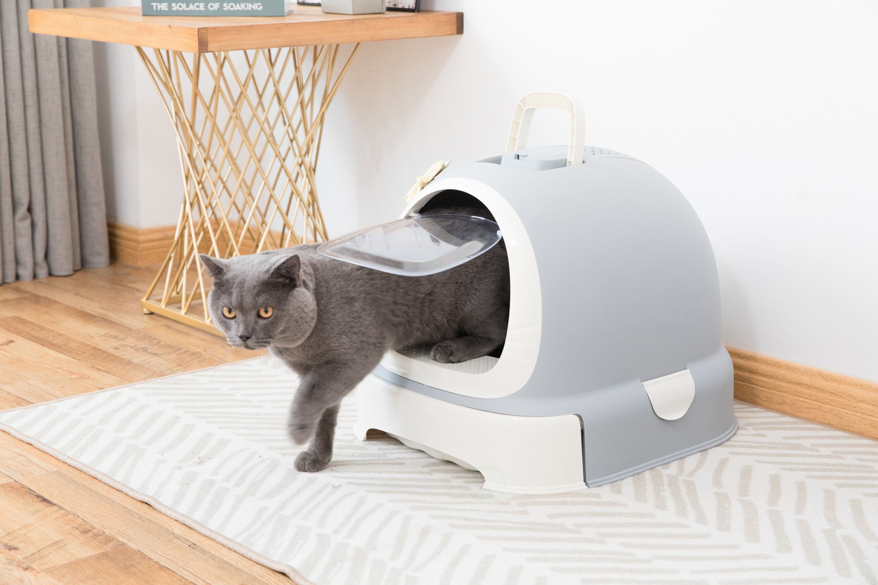 PawsMark QI003672 Cat-Litter-Box - View #3