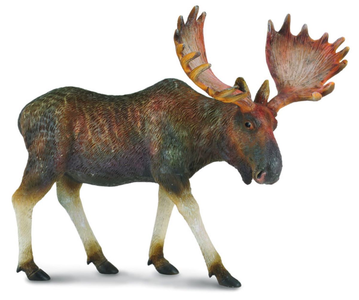 Breyer 88335 Preschool