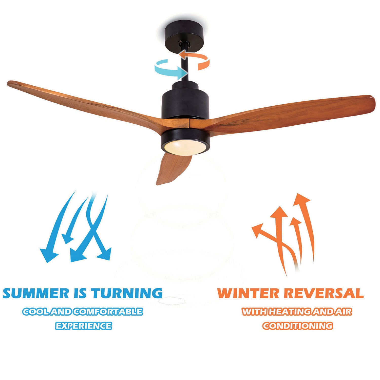 Maincraft D01-CF030 Ceiling-Fans - View #5