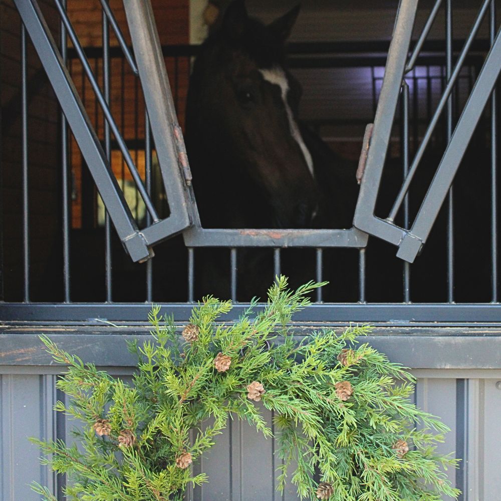 CG Hunter WRT-24017 Artificial-Christmas-Wreaths - View #4
