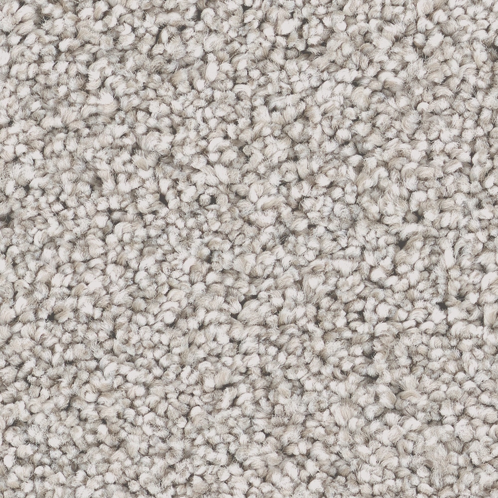STAINMASTER 7L959-115-SAMP (Sample) 8-in x 8-in Welcome Retreat II Linen Off-white 53.6-oz sq yard High-performance polyester Textured Indoor Carpet