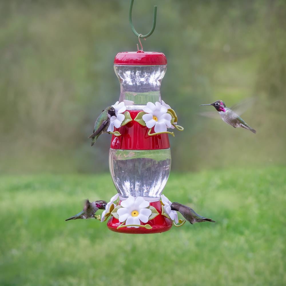 double hummingbird feeder