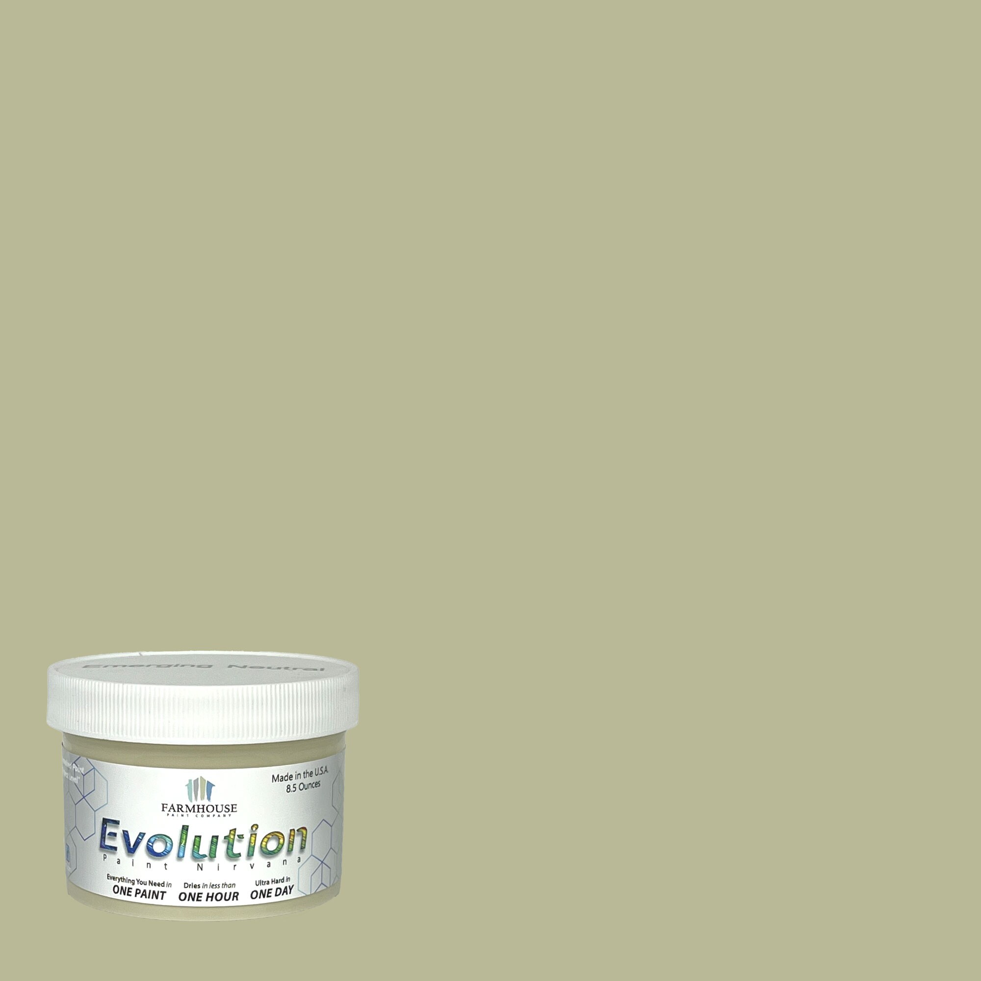 Evolution Paint EVP-EM-8 Satin Emerging Neutral Enamel ( Half-pint )