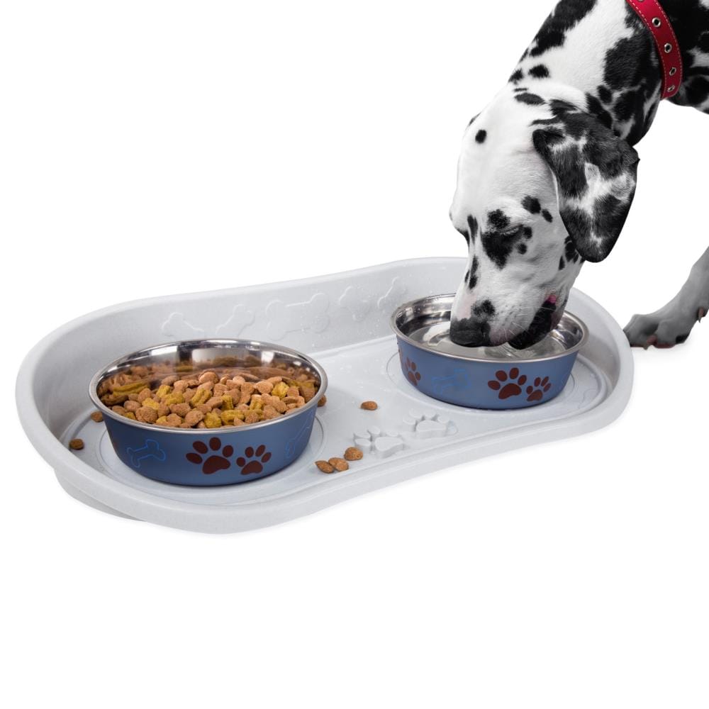 Dog Bowls & Mat Set - Stainless Steel Bowls Set in a No Mess, No Spill, Non  Skid, Silicone Mat. Food & Water Bowls for Dogs or Cats - grey