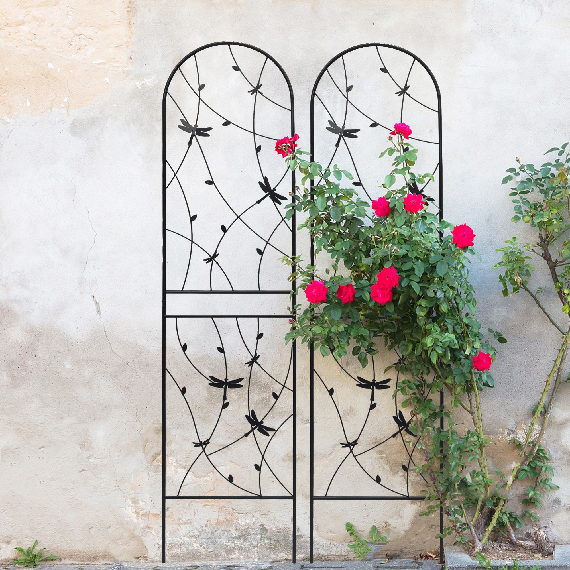 AHIOU HOME ZAAHG-P268045GT Garden-Trellis - View #3