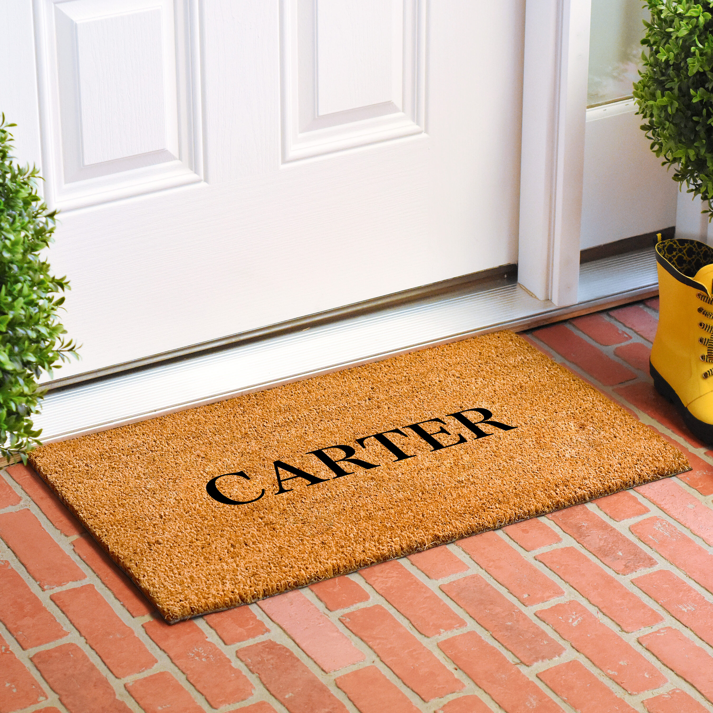 Callowaymills 111242448 Mats-Cat - View #2