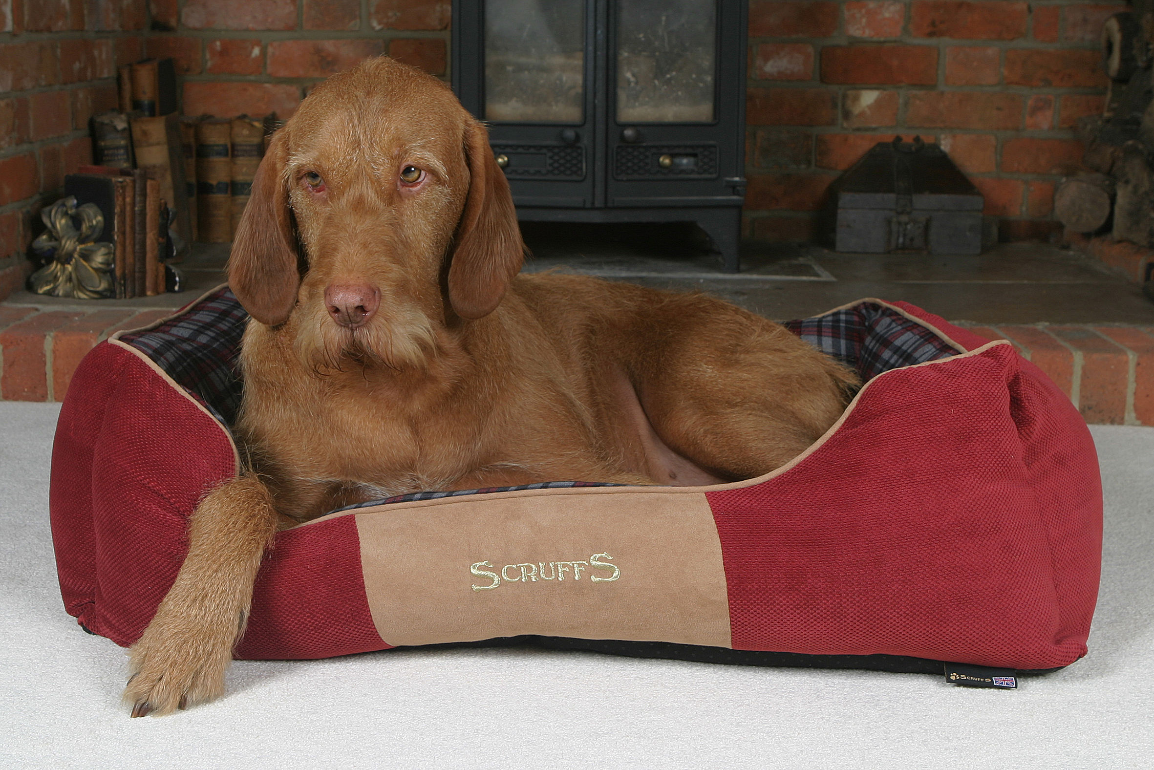 Scruffs highland dog on sale bed