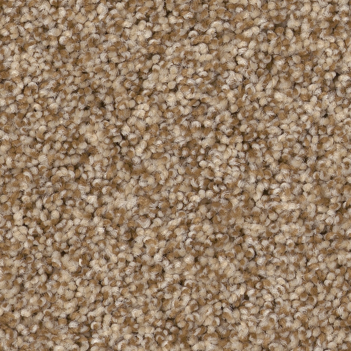 STAINMASTER PetProtect 7L85800226 Reverie III Hazel Brown 63.4-oz sq yard Nylon Textured Indoor Carpet