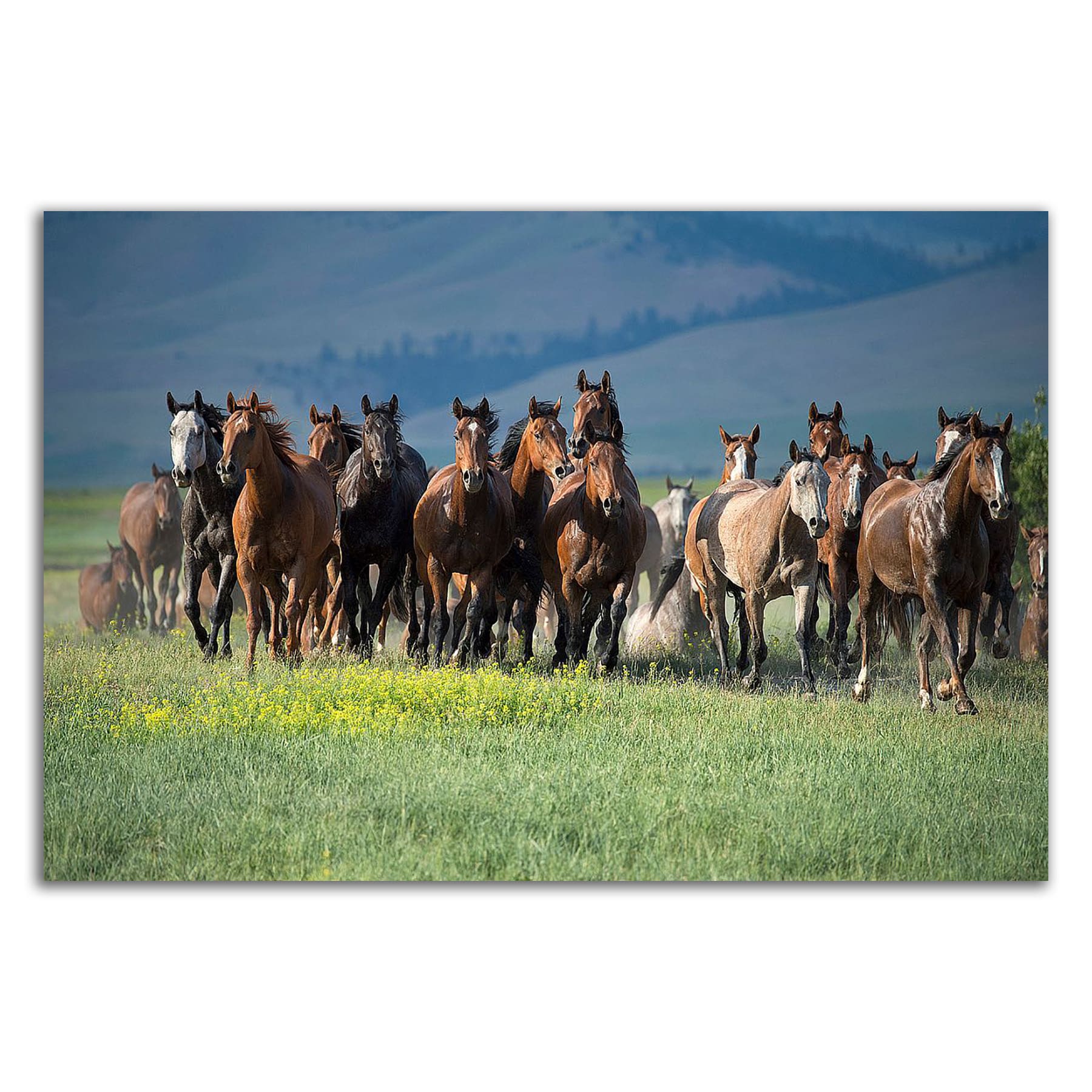 Tangletown Fine Art 8D1023DC-2718 Wall-Art - View #3