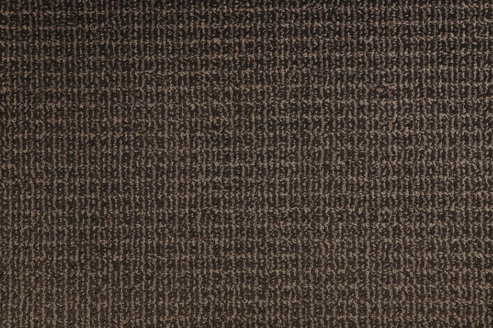 STAINMASTER DL034-113S (Sample) PetProtect Deerfield Place Magnet Pattern Carpet