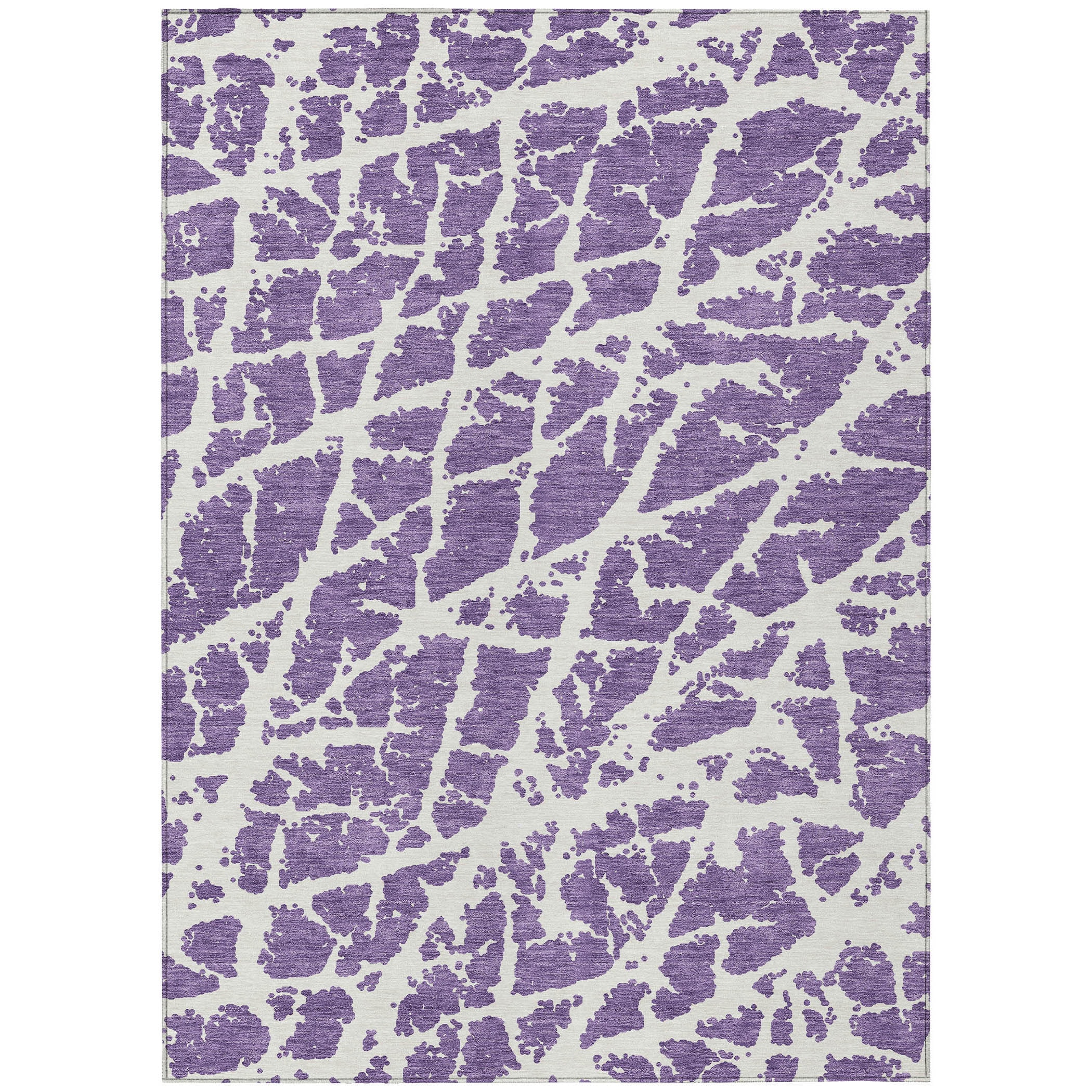 Addison Rugs ACN501PP3X5 rugs - View #2