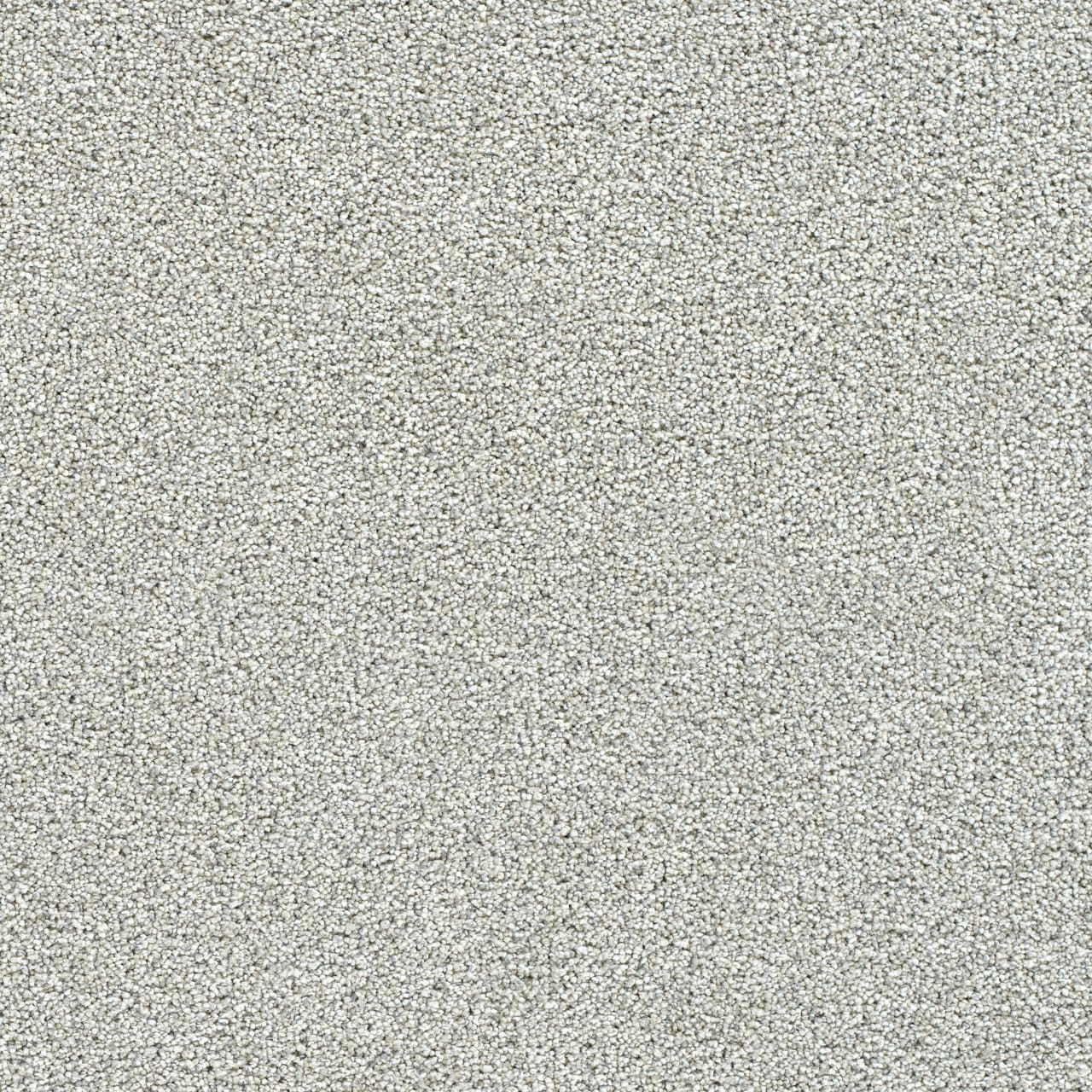 STAINMASTER L5015-1512-1200-AB Over The Moon I Sheer Bliss Gray 40-oz sq yard Solution-dyed polyester Textured Indoor Carpet
