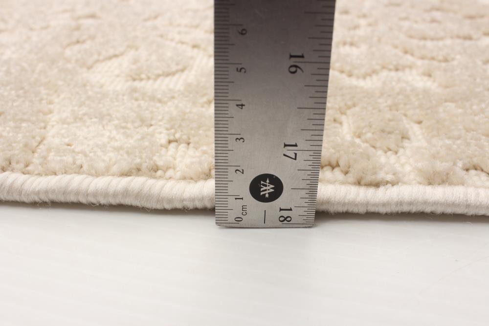ECARPETGALLERY 351048 rugs - View #6