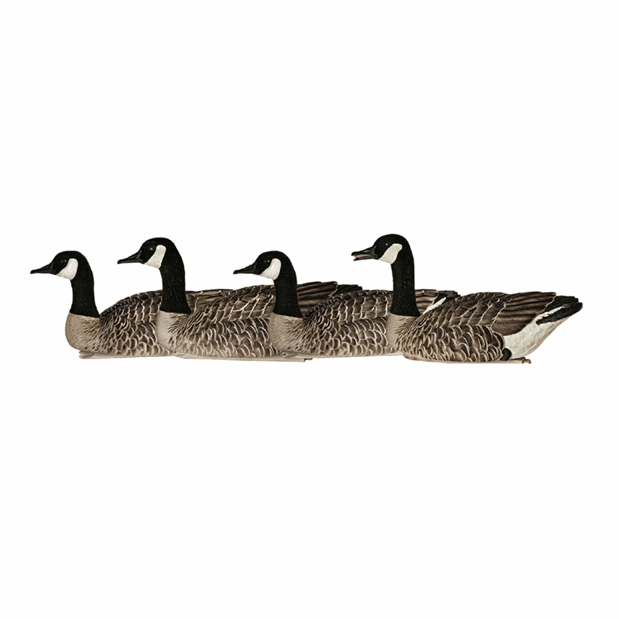  Avian X 408523 Hunting-Equipment - View #8