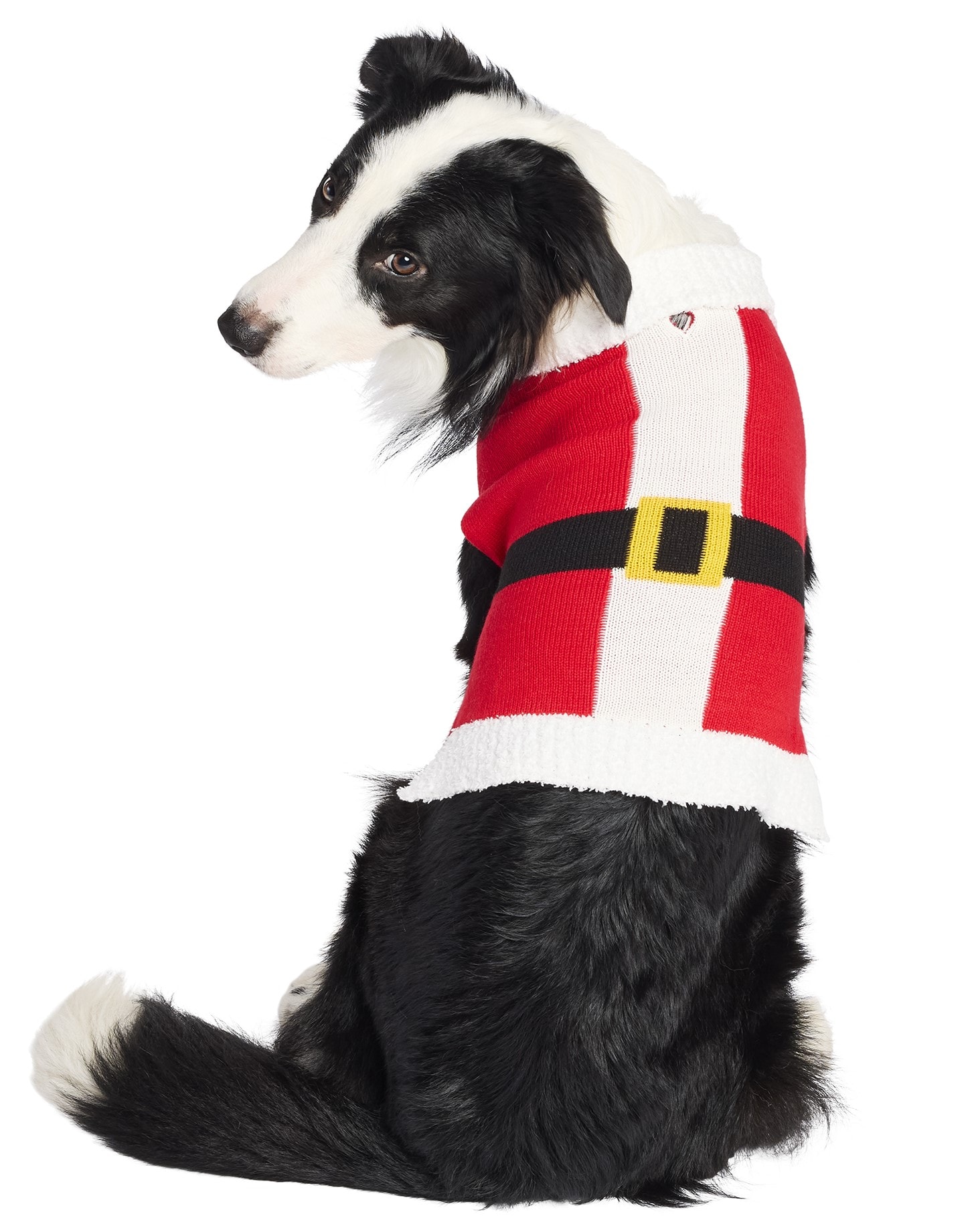 Pet Clothing Recommended Pet Size Medium
