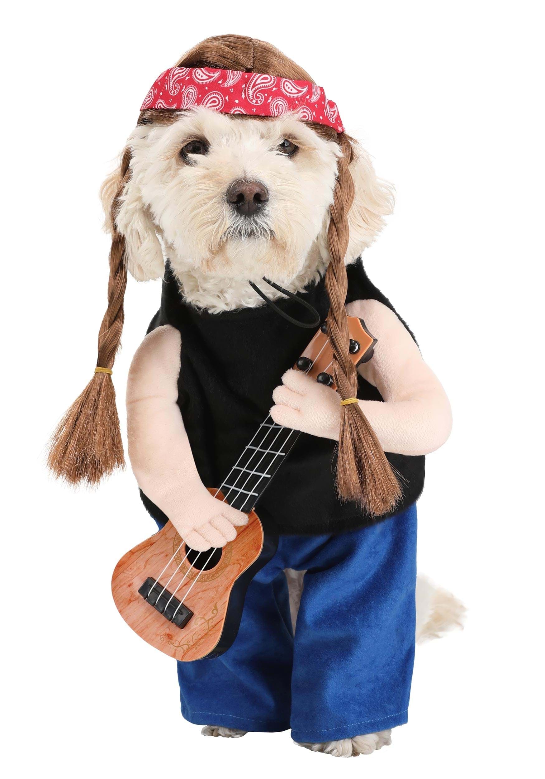 HalloweenCostumes.com FUN3593-XS FUN Costumes Outlaw Country Singer Costume for Dogs XS