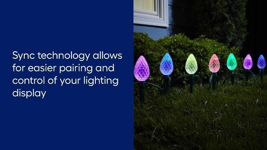 Illumina | Wella Professionals | WellaStore US