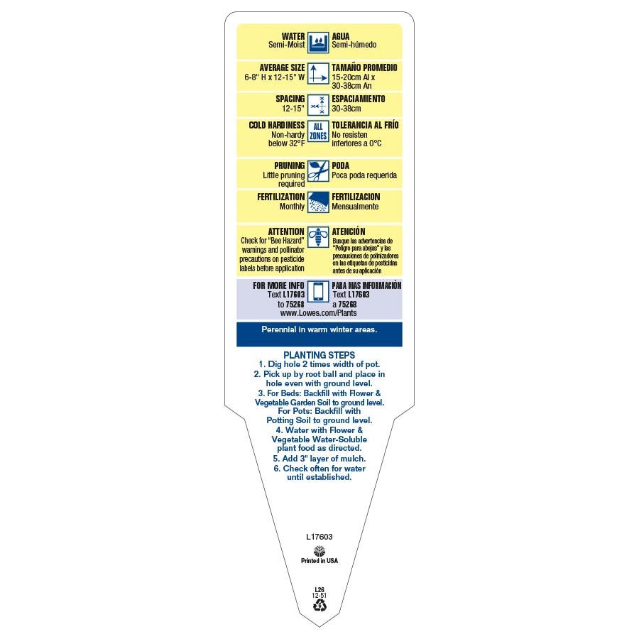 Lowe's 411865 annuals - View #3