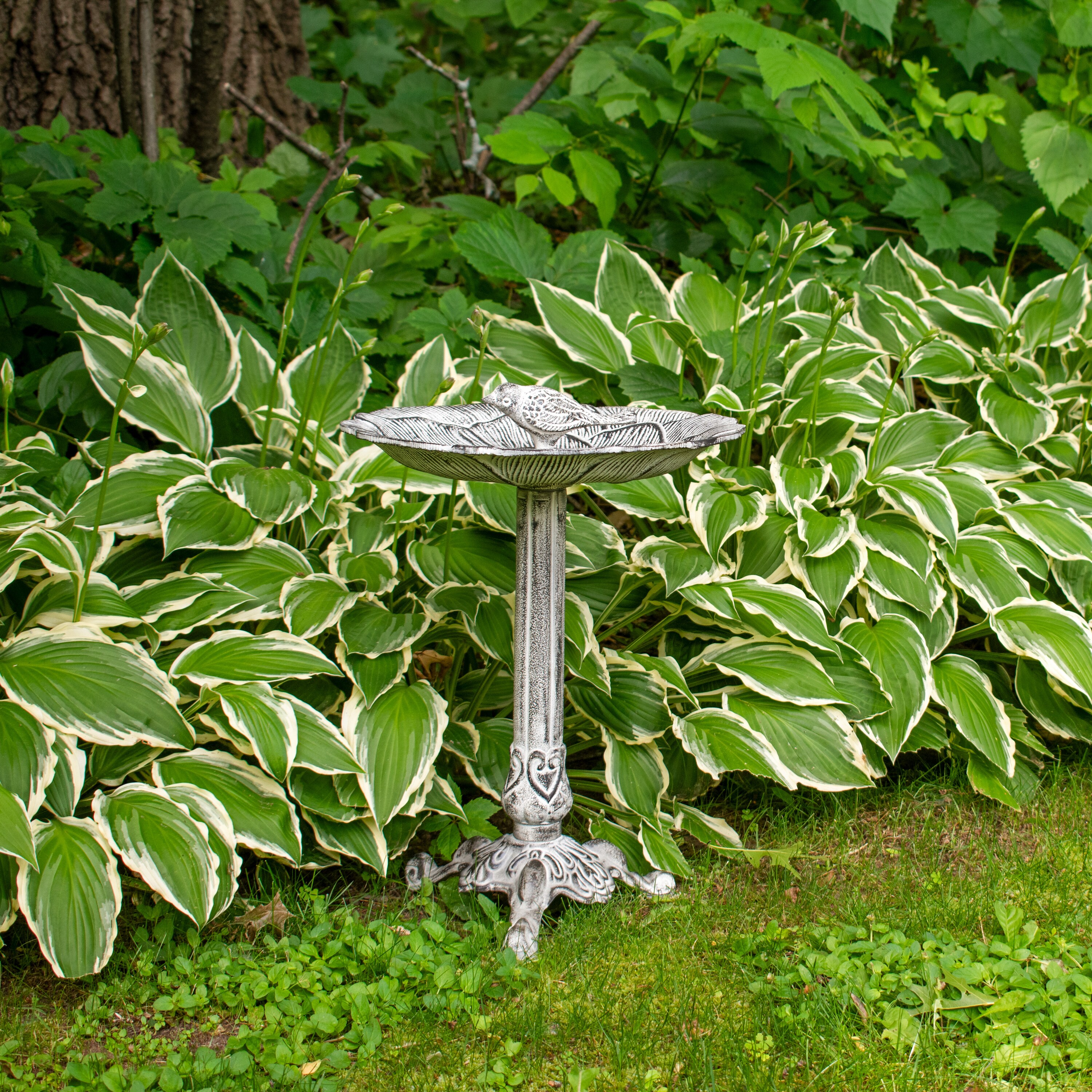 Antique Gray Cast Aluminum Bird Bath with Blossom Motif