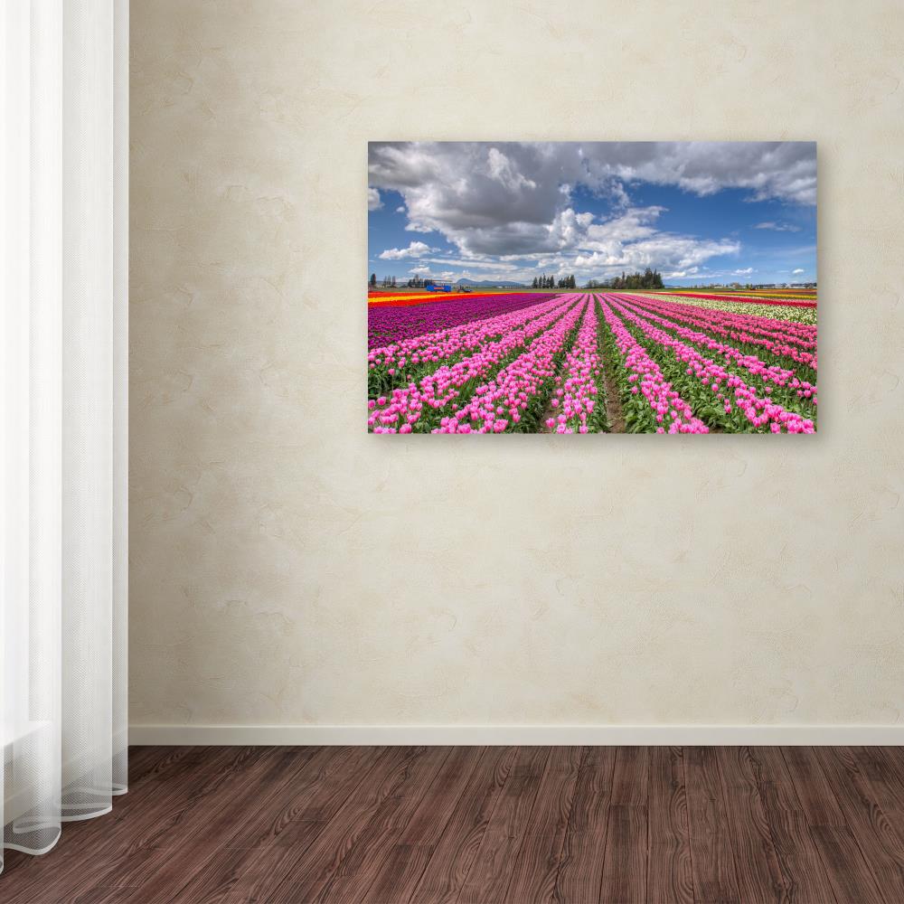 Trademark Fine Art PL0150-C3047GG Wall-Art - View #3