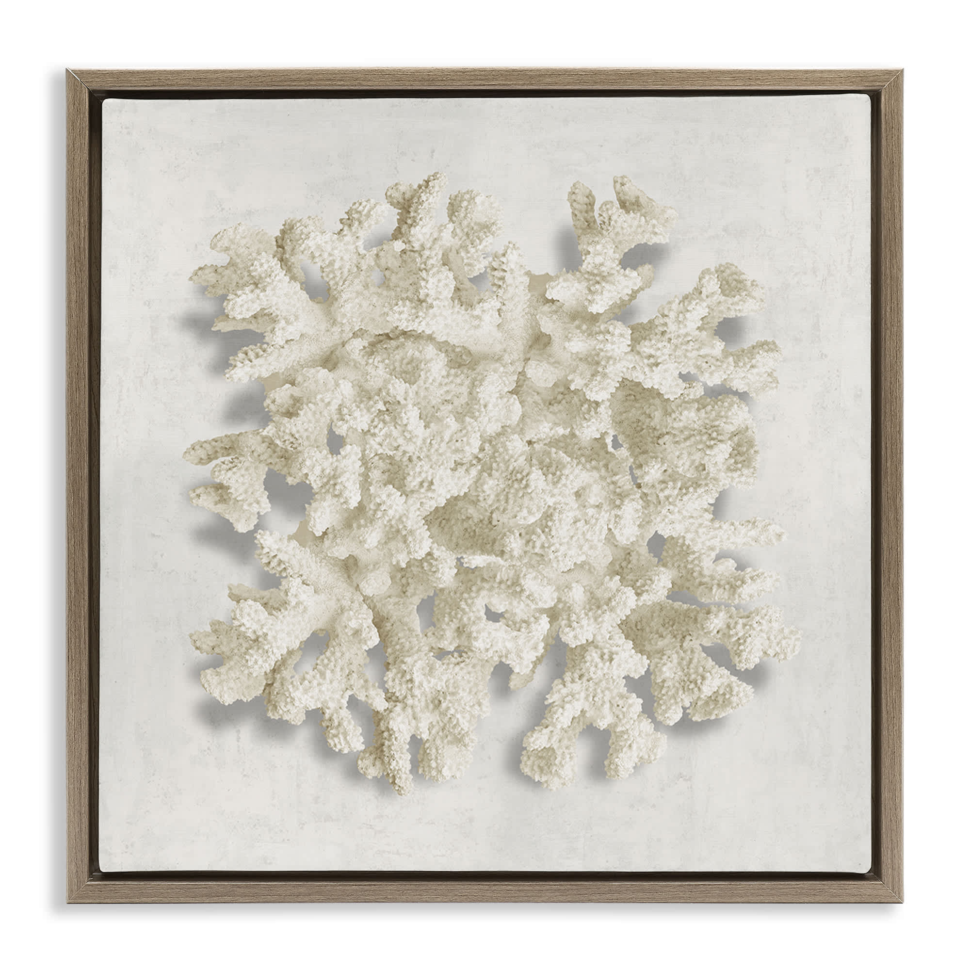 Stupell Industries BS-543-FFE-24X24 Aquatic Neutral Coral Brown Framed Floater Canvas Wall Art By Caroline Kelly 25 x 25