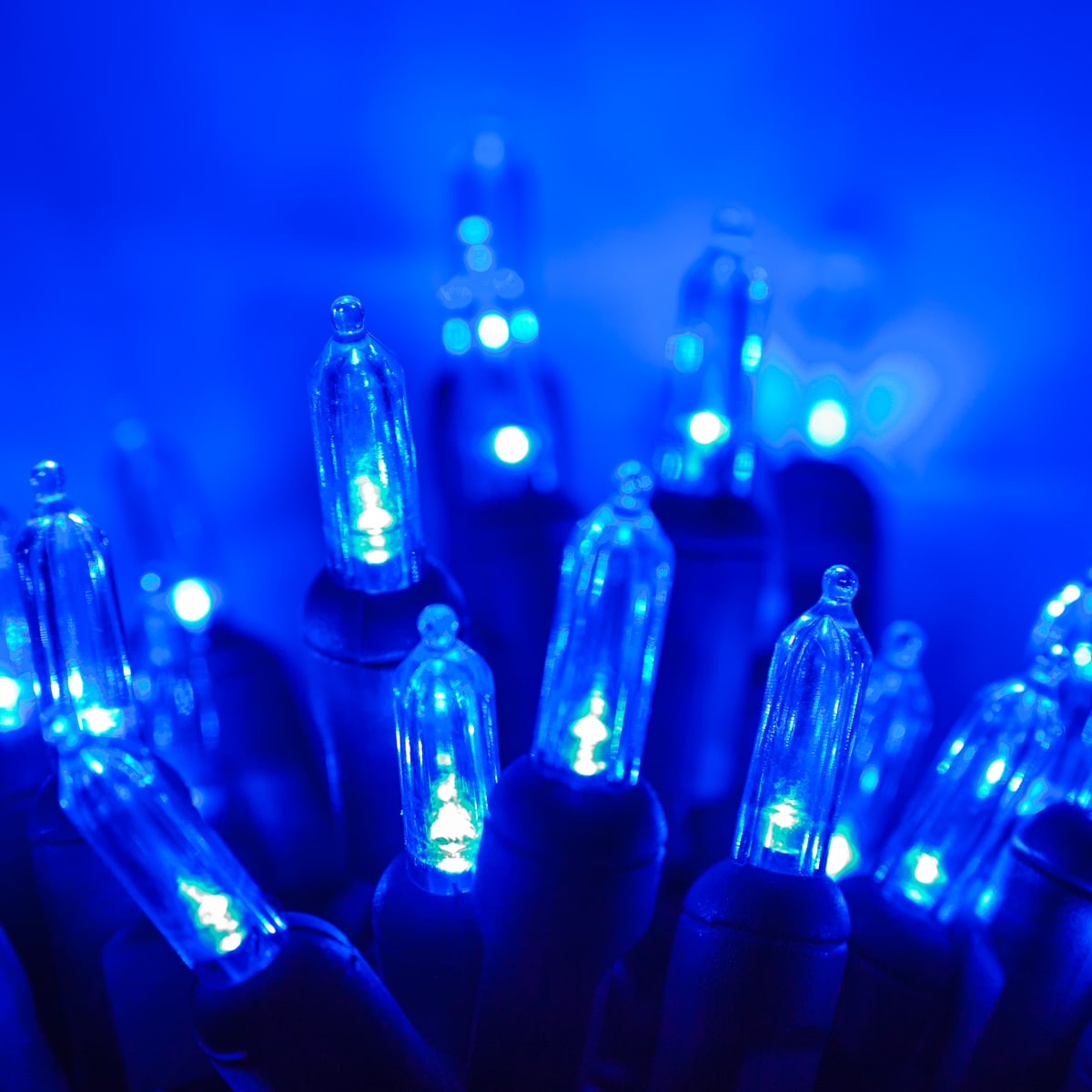 Wintergreen Lighting 74553 Christmas-String-Lights - View #2