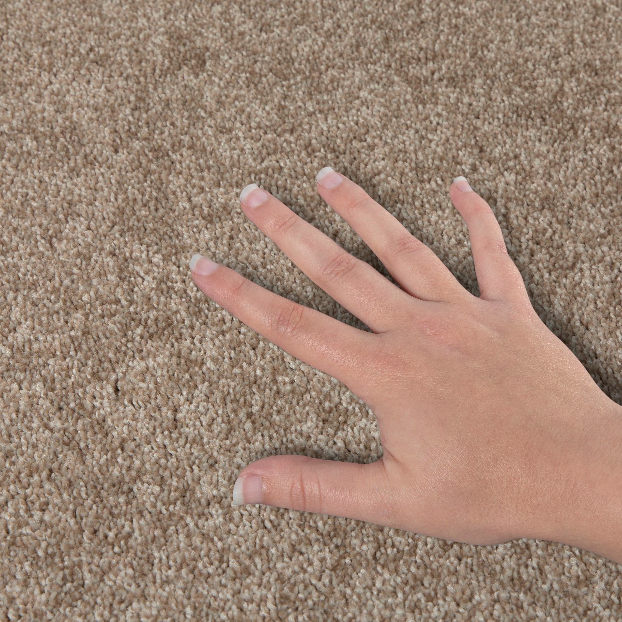 STAINMASTER PetProtect SS022-12-L012 Carpet-Panel - View #4