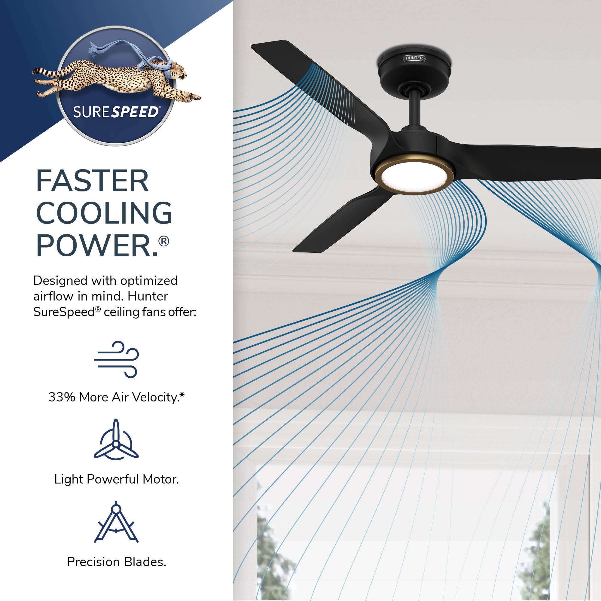 Hunter 53642 Ceiling-Fans - View #15