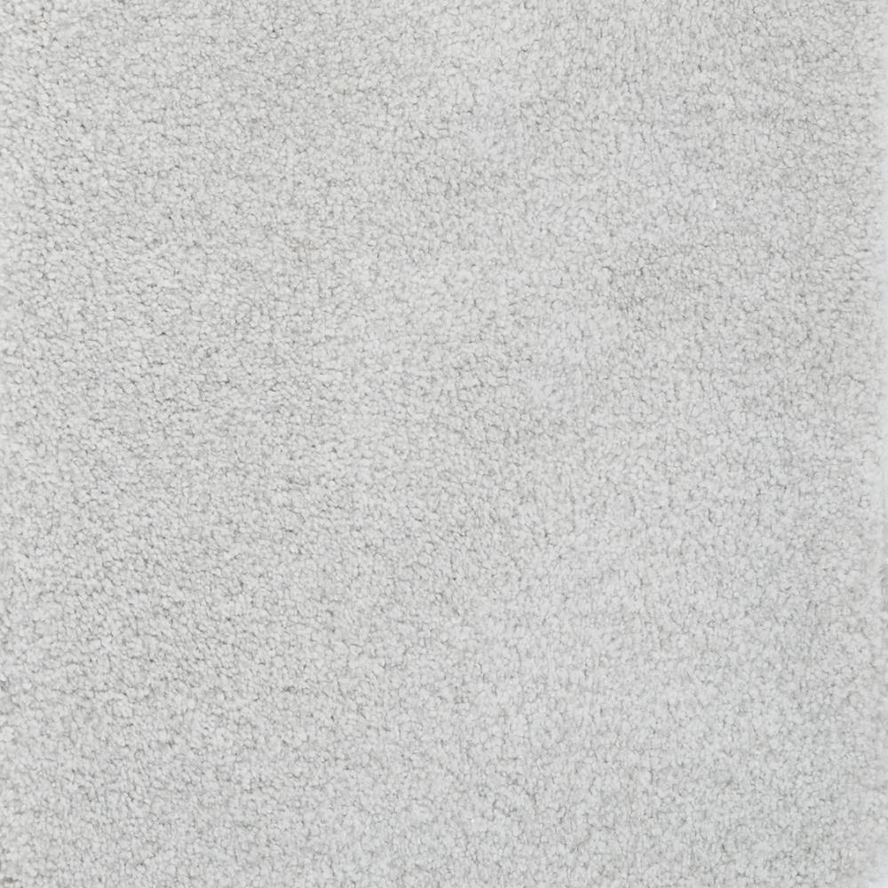 STAINMASTER DL047-423S (Sample) Signature Pinson Sincere Textured Carpet