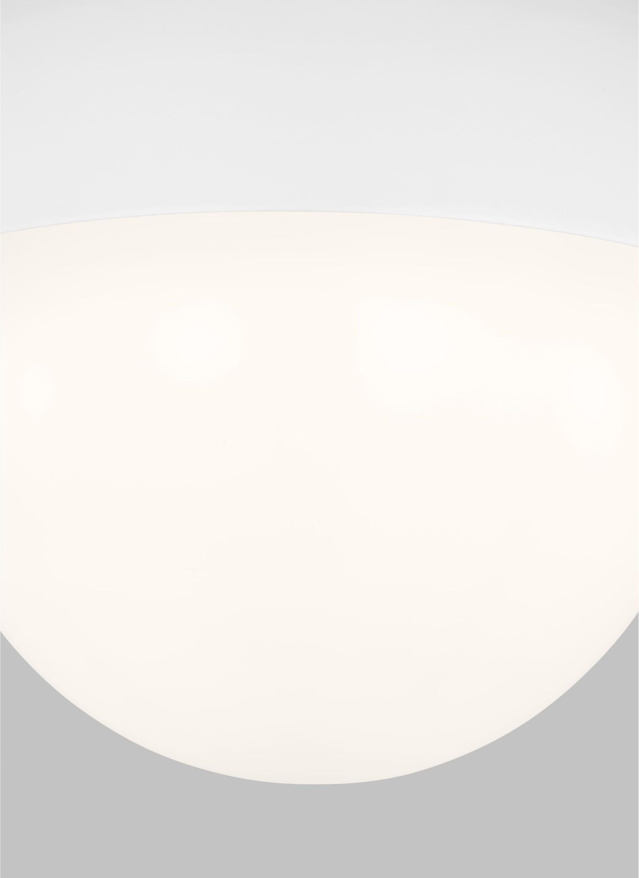 Matte White Opal Glass 1-Light Flush Mount