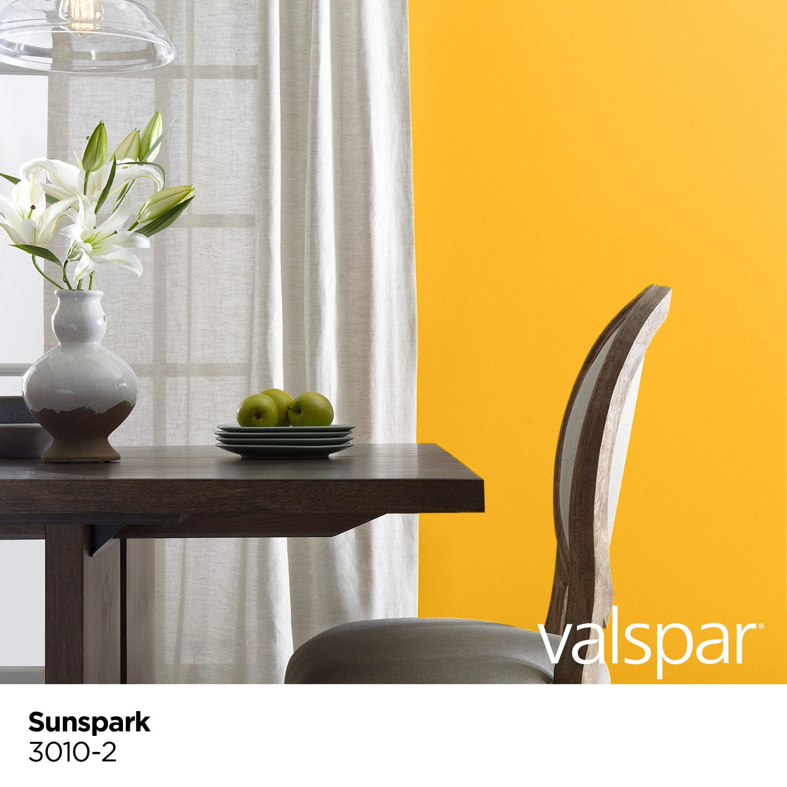 Valspar 3010-2-28328 Int-Ext-Paint - View #3