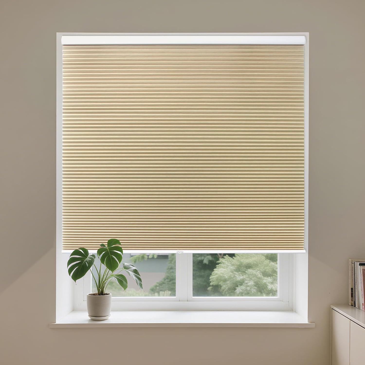 EFCUT C-65680-HD shades - View #2