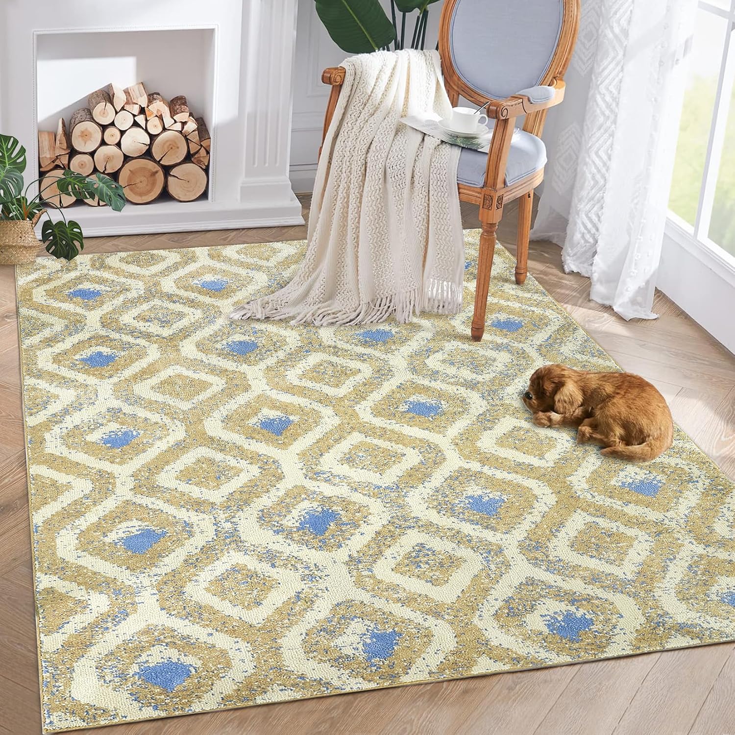 Qeetex WWJ-PHO-0YQ7NR7B rugs - View #3