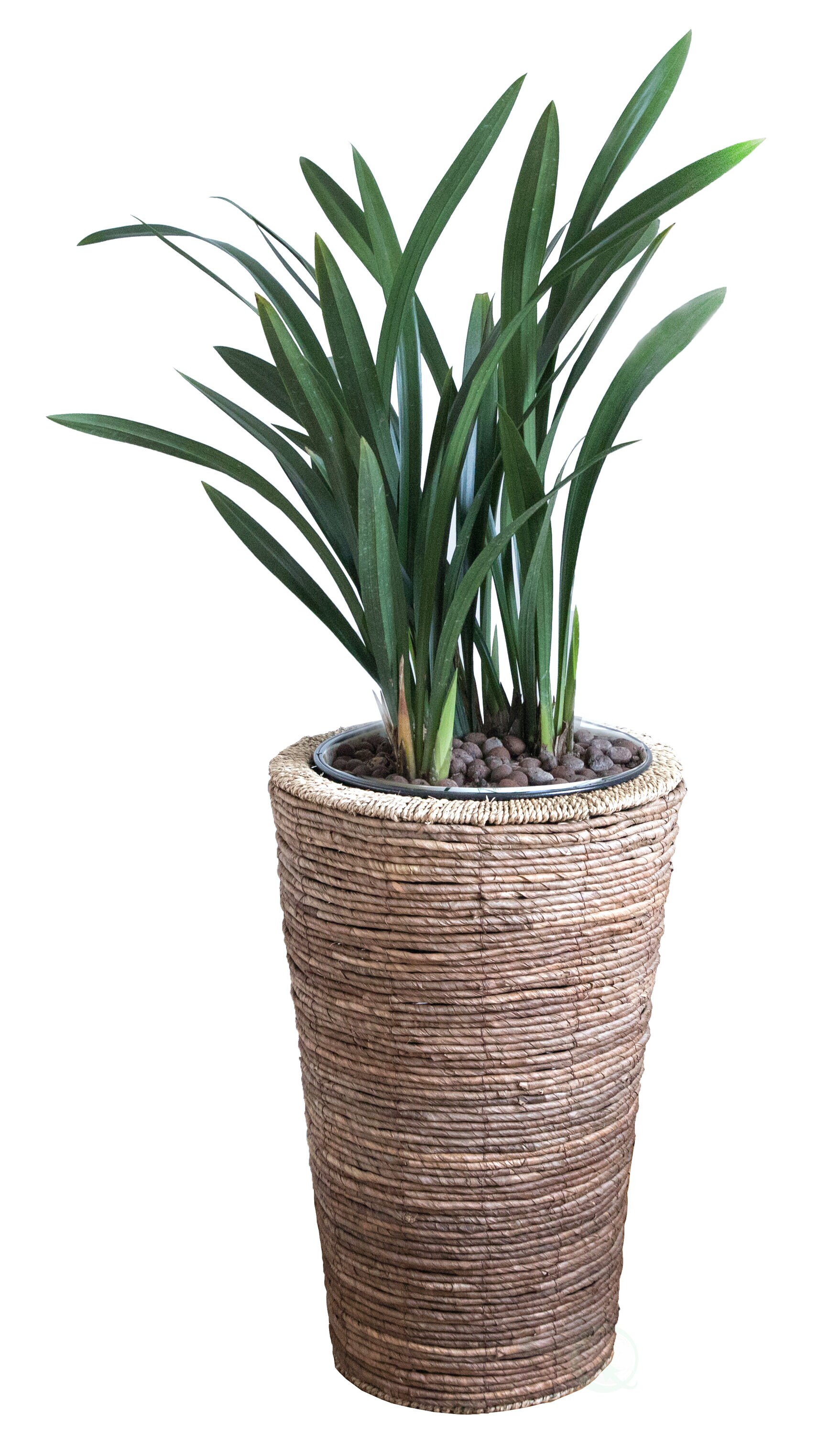 Vintiquewise QI003360.L Planter-Window-Box - View #7