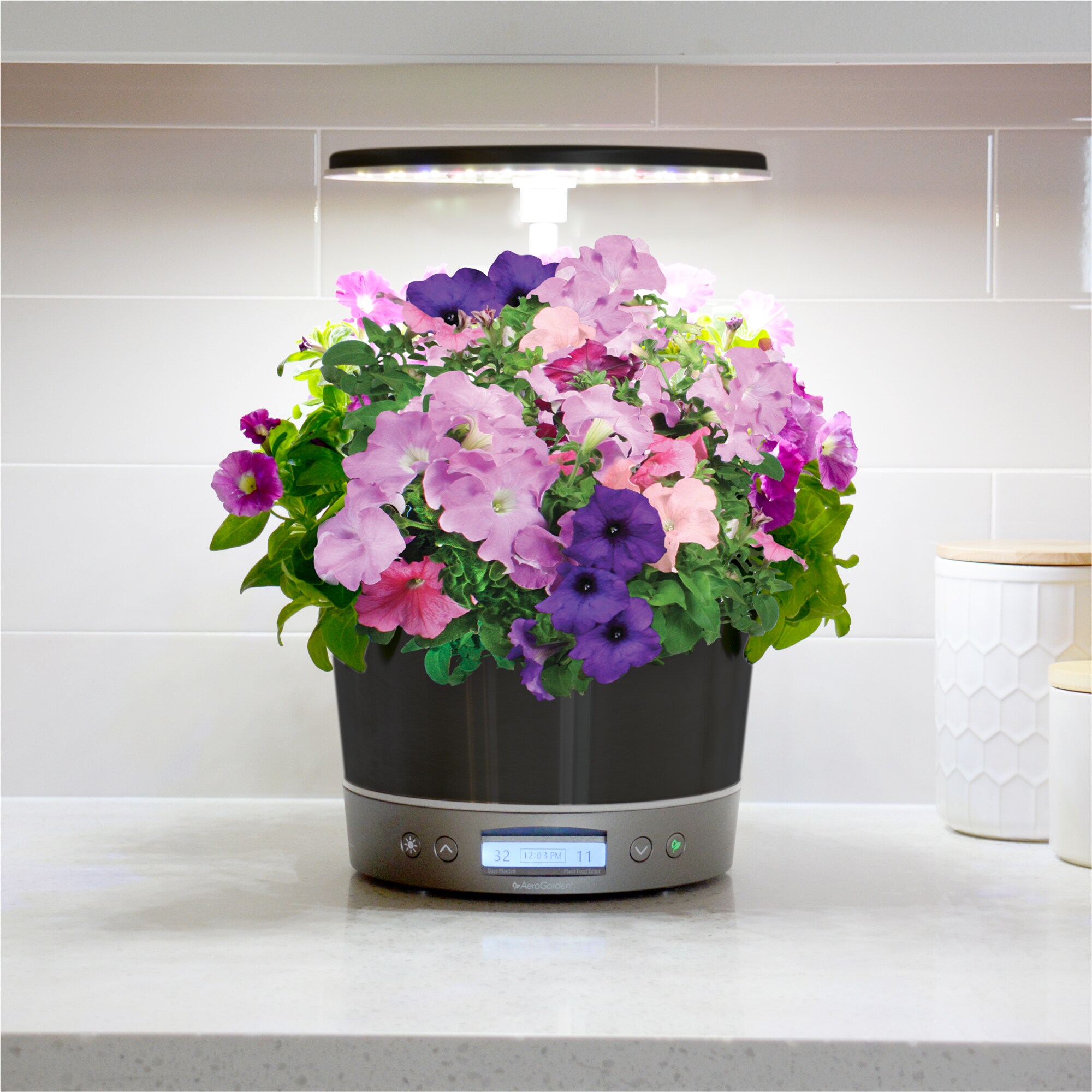 AeroGarden Harvest Elite 360 with Salad Bar Seed Pod Kit LED Stainless ...