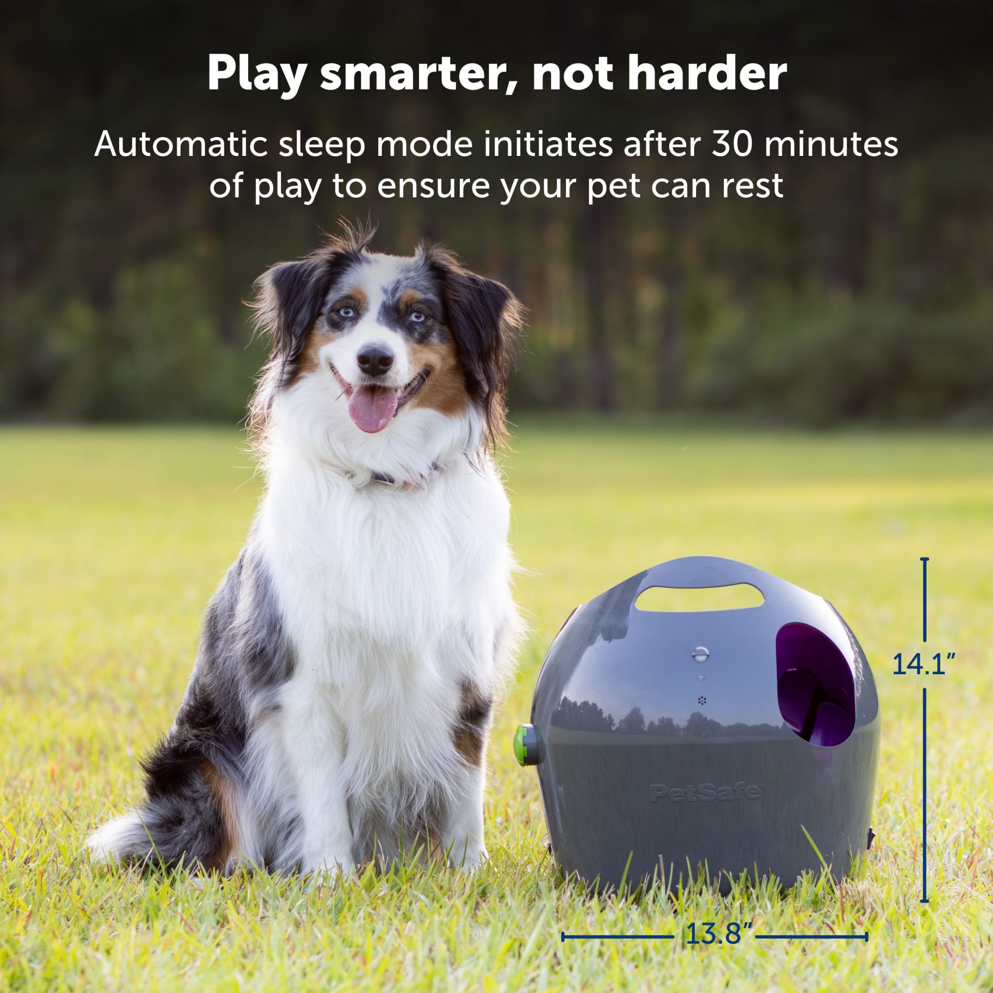 PetSafe PTY00-14665  - View #4