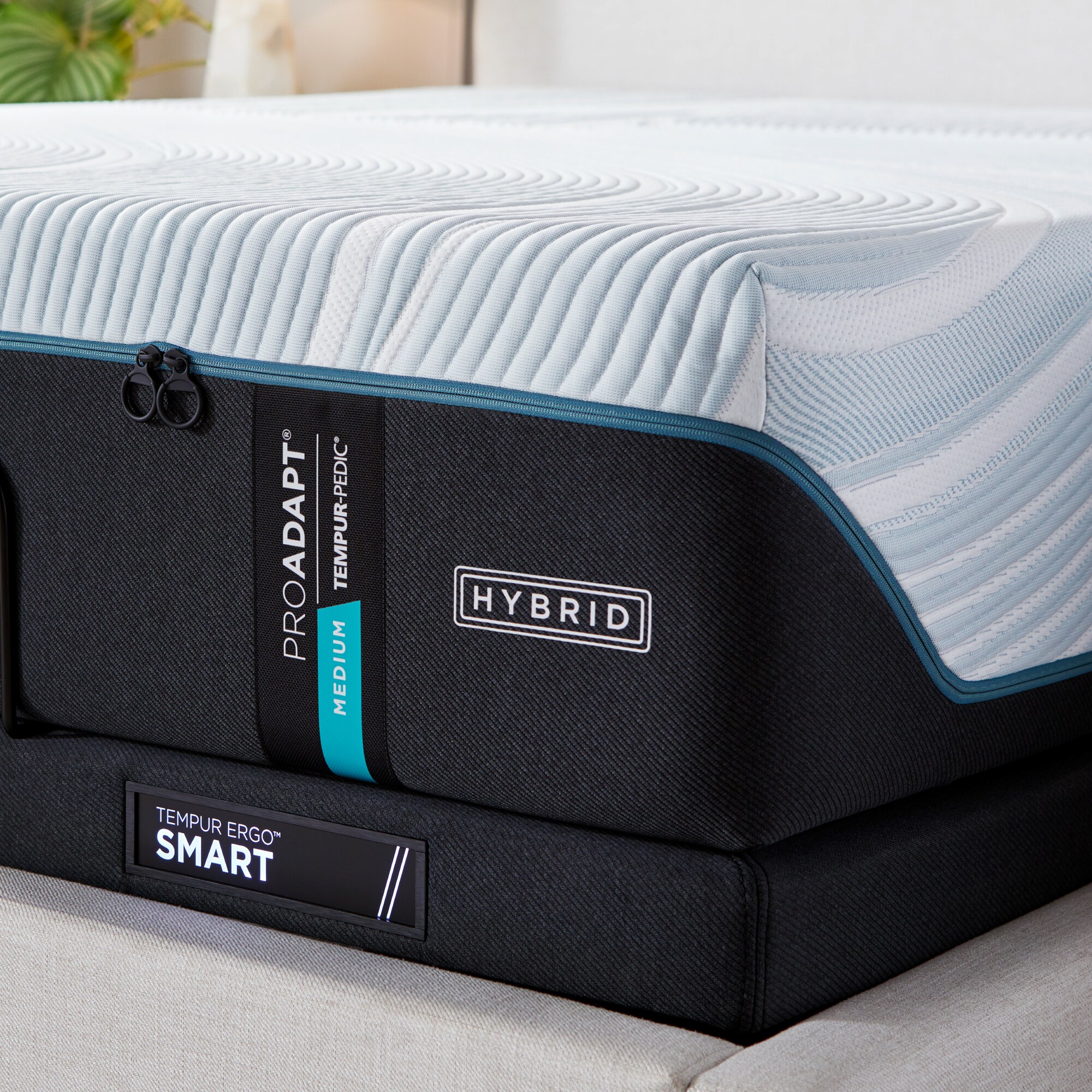 TEMPUR-PEDIC 10752132 Mattresses-Boxsprings - View #11