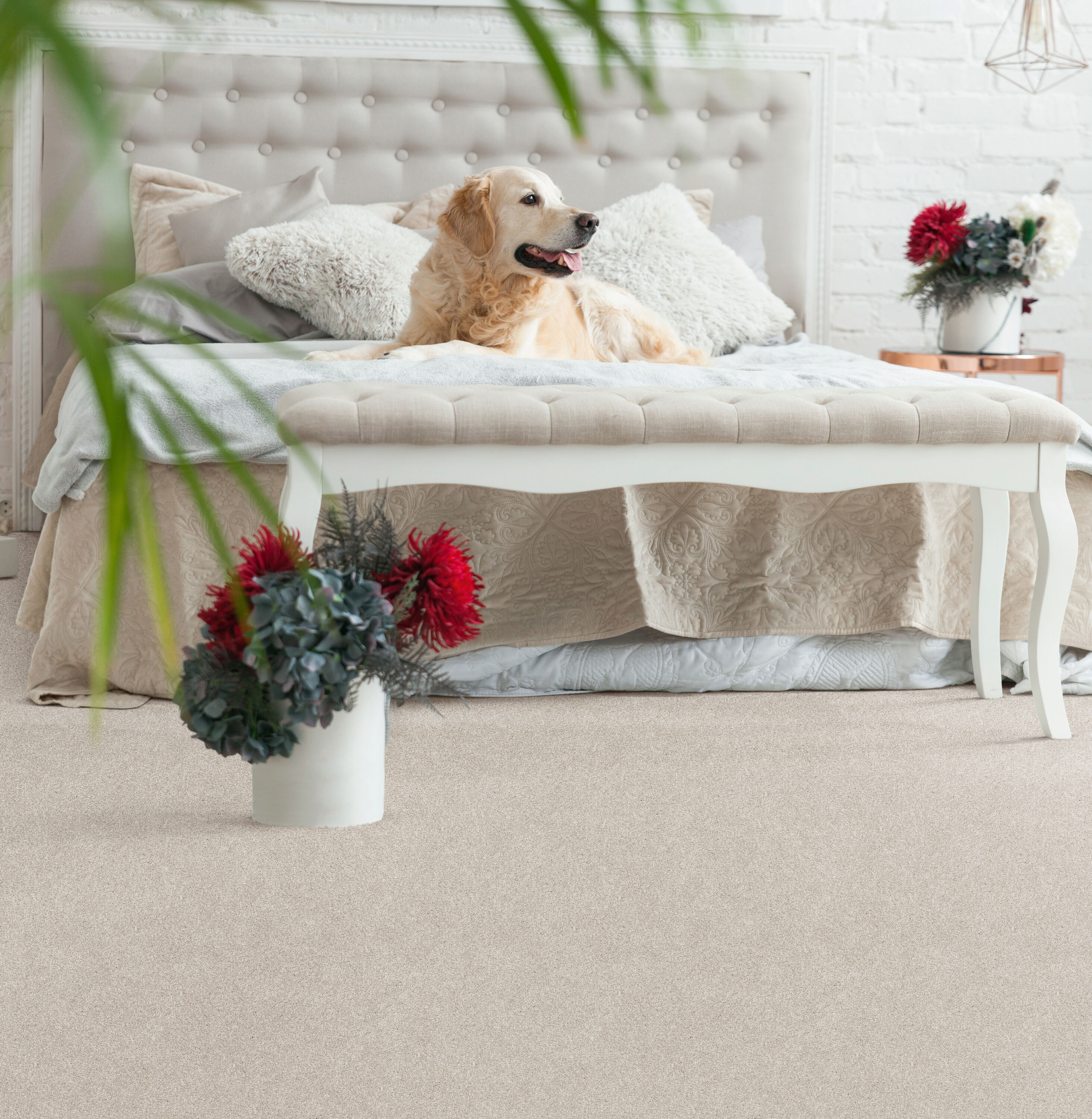 STAINMASTER PetProtect 7L906 - 125 - SAMP Carpet-Samples - View #4
