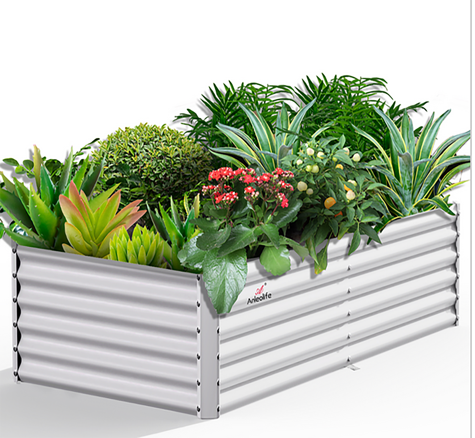 Damerin RBSZYYX-08 48-in W x 96-in L x 18-in H Antique White Metal Raised Garden Bed