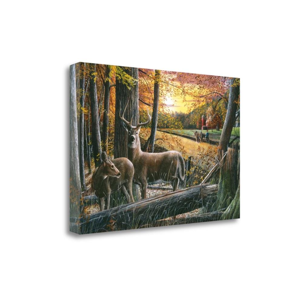 Tangletown Fine Art SBKD1186-2617C 17-in H x 26-in W Animals Print on Canvas