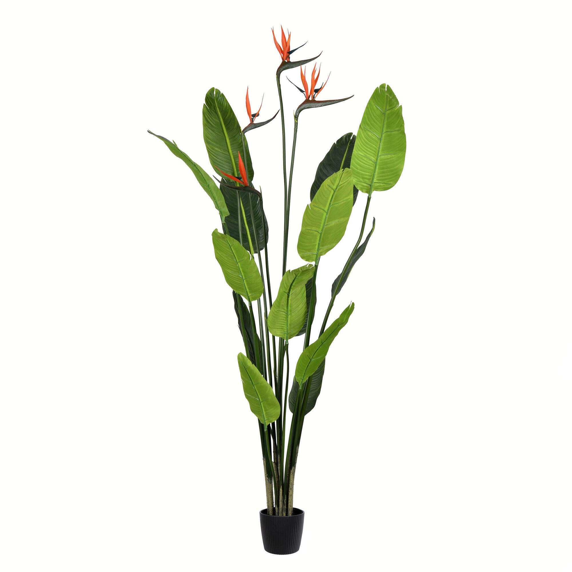 Vickerman TB191250 60-in Green Indoor Palm Artificial Plant