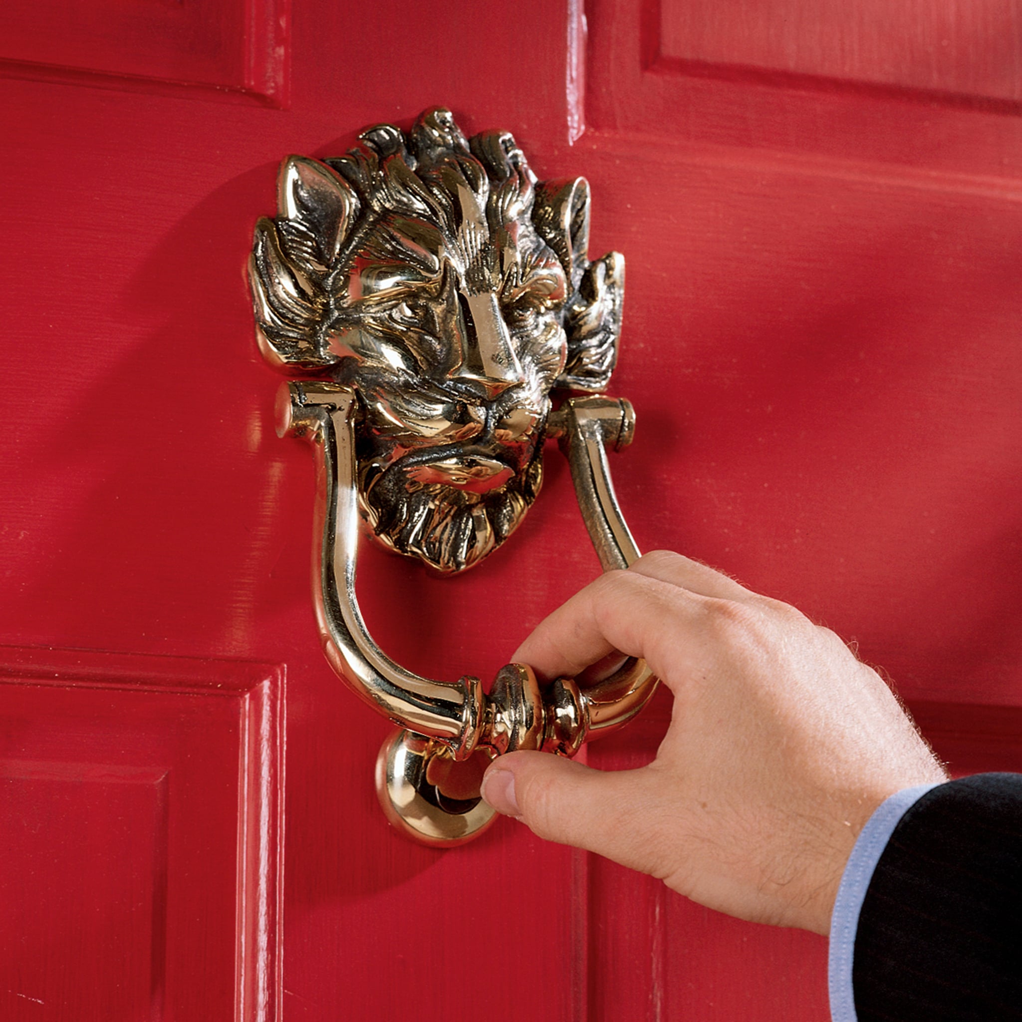 Design Toscano Gold Brass Lion Head Door Knocker, 8-1/2-in Length, Polished  Finish, 1-Year Warranty in the Door Knockers department at